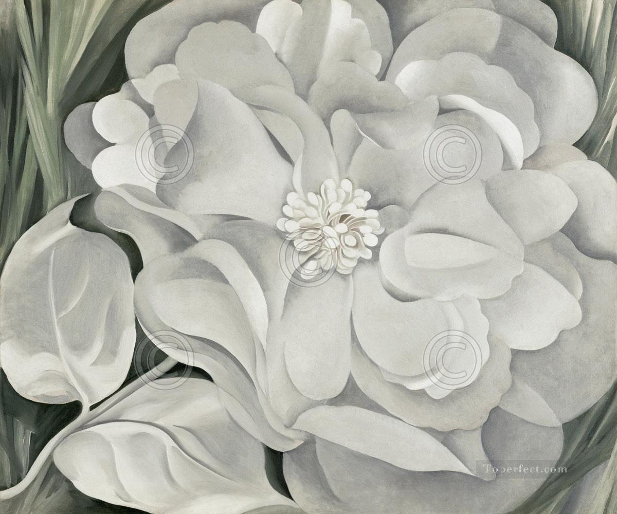 Flor de calicó blanco Pintura al óleo